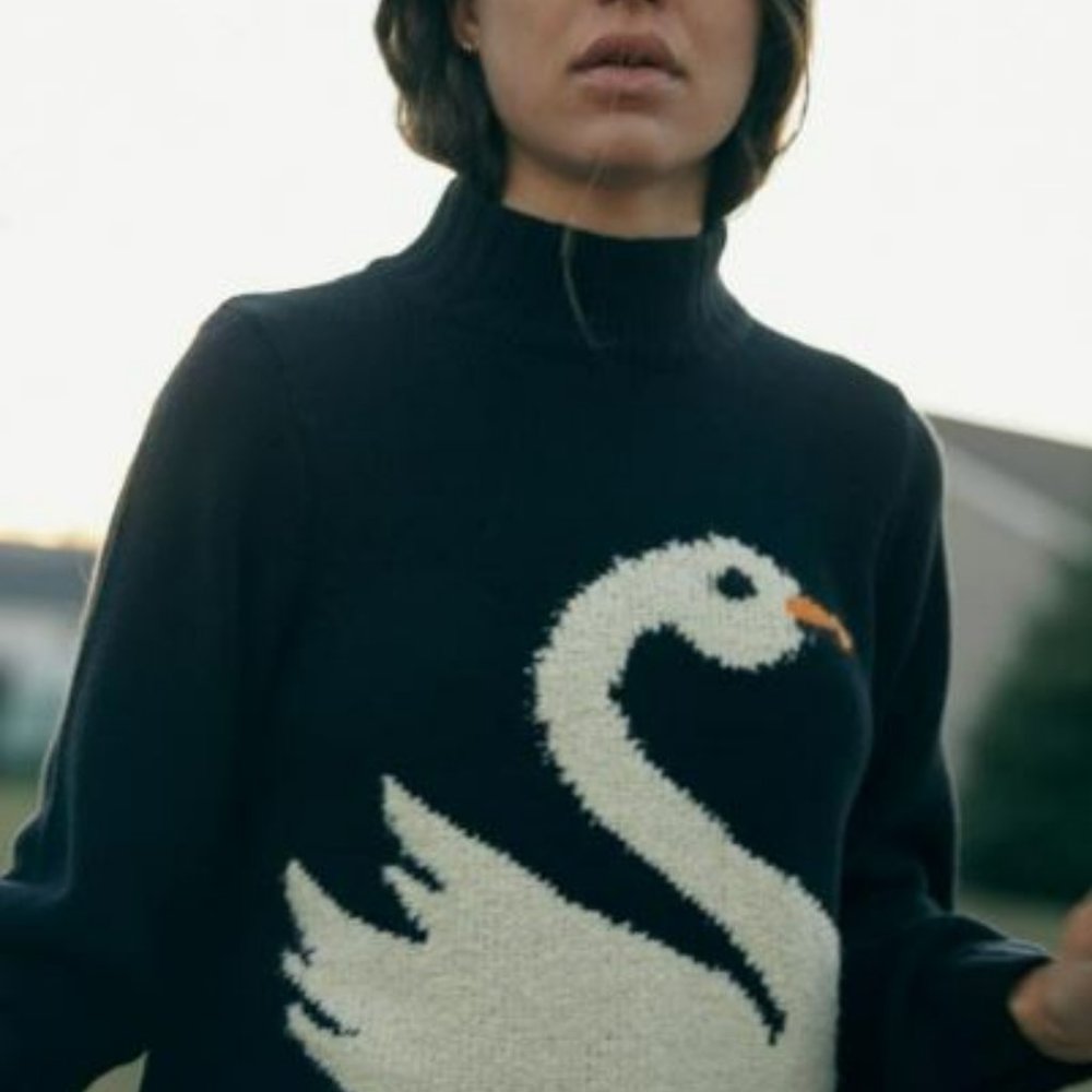 Black Swan Lake Intarsia Sweater - Urban Outfitters